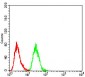 phospho-NLRC4(Ser-533) Antibody