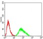 SH3GL1 Antibody