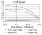 KPNA2 Antibody