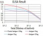 DDX3X Antibody