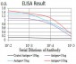 ULK2 Antibody