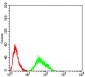 KDM6A Antibody