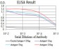 HDAC6 Antibody