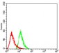 HDAC6 Antibody