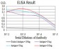 RF1 Antibody