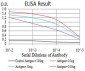 OTUD4 Antibody