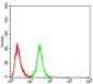 OTUD4 Antibody