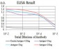 VEGFA Antibody