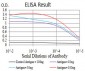 RAD50 Antibody