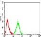 SERPINA1 Antibody