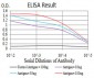 CFHR5 Antibody