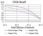 DDX5 Antibody