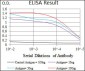 TGFBR3 Antibody