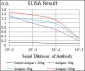 PCNA Antibody