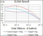 SLC27A5 Antibody