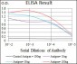 SLC27A5 Antibody