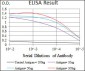 FOXC2 Antibody