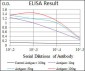 FCER1A Antibody