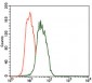 FCER1A Antibody