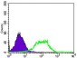 GUCY1A3 Antibody