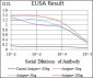 CLGN Antibody