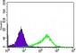 ALPI Antibody