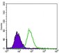 EGFR mutant Antibody