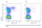 Functional Neutrophils (mouse) Antibody, mAb (blocking)