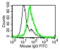 Functional IL-1R2 (mouse) Antibody, mAb (recombinant)