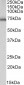 Goat Anti-ASIC1 Antibody (C Terminus)