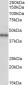 Goat Anti-CXCR7 / RDC1 Antibody (C Terminus)