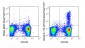 Alexa Fluor® 647 Anti-Human IL-17A (4H1524) Antibody