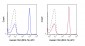 APC Anti-Human CD4 (RPA-T4) Antibody