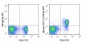 APC Anti-Mouse CD127 (IL-7Ra) (A7R34) Antibody