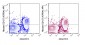 APC Anti-Mouse CD127 (IL-7Ra) (A7R34) Antibody