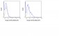 APC Anti-Human CD152 (CTLA-4) (BNI3) Antibody