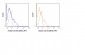 APC Anti-Human CD152 (CTLA-4) (BNI3) Antibody