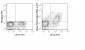 APC Anti-Mouse F4/80 Antigen (BM8.1) Antibody