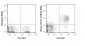 Biotin Anti-Mouse CD127 (IL-7Ra) (A7R34) Antibody