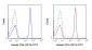 FITC Anti-Human CD4 (OKT4) Antibody