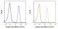 FITC Anti-Human CD4 (RPA-T4) Antibody