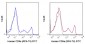 FITC Anti-Human CD8a (RPA-T8) Antibody