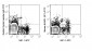 FITC Anti-Mouse KLRG1 (2F1) Antibody