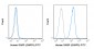 FITC Anti-Human GARP (GARP5) Antibody