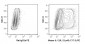 PE Anti-Mouse IL-12/IL-23 p40 (C17.8) Antibody