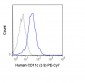 PE-Cy7 Anti-Human CD11c (3.9) Antibody