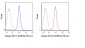 PE-Cy7 Anti-Human CD11b (ICRF44) Antibody