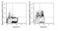 PE-Cy7 Anti-Mouse IFN gamma (XMG1.2) Antibody
