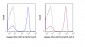 PerCP-Cy5.5 Anti-Human CD3 (OKT3) Antibody