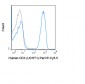 PerCP-Cy5.5 Anti-Human CD3 (UCHT1) Antibody